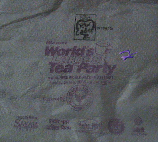 worlds_largest_tea_party_paper_nap.jpg